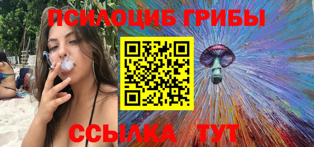 Псилоцибиновые грибы Cubensis  Вход с VPN  Фурманов 